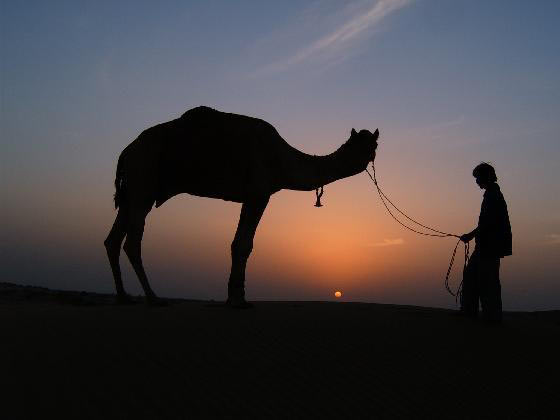 Gleaming Golden Triangle (Ex - Delhi) Tour