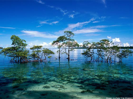 Andaman & Nicobar Islands