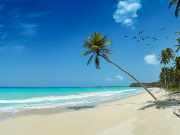 Beach Holiday Package In Andaman