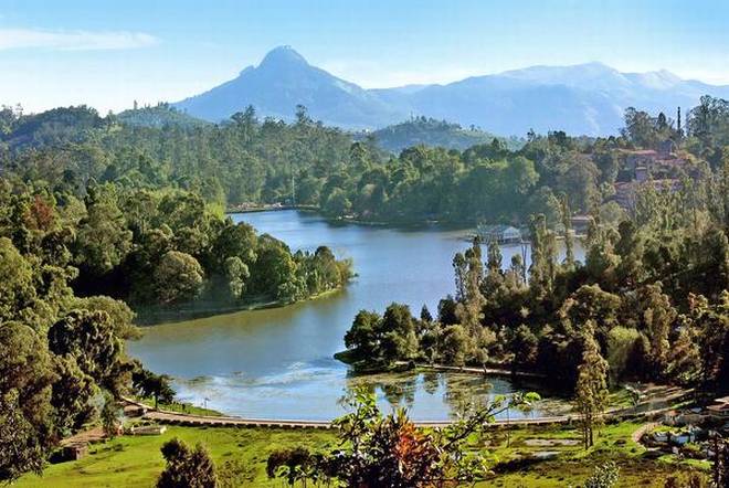 Wayanad-Mysore-Coorg 5N/6 Days Tour