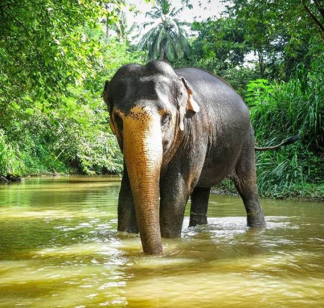 Kerala-Kanyakumari 8 Nights/9 Days Tour