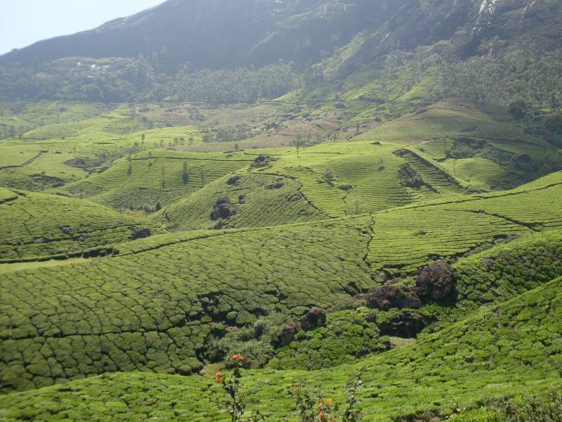 Kerala-Kanyakumari 8 Nights/9 Days Tour