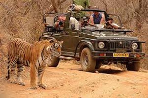 Rajasthan Wildlife Tour (4Night/5Days)