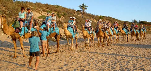 Rajasthan Camel Safari Tour