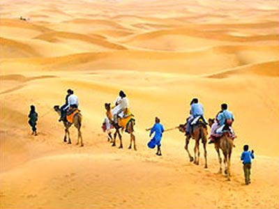 Rajasthan Camel Safari Tour