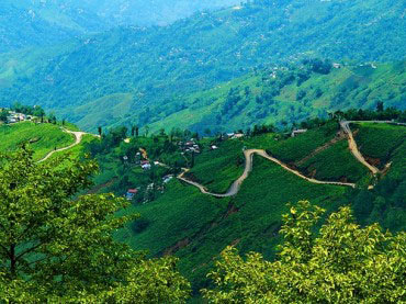Darjeeling Tour