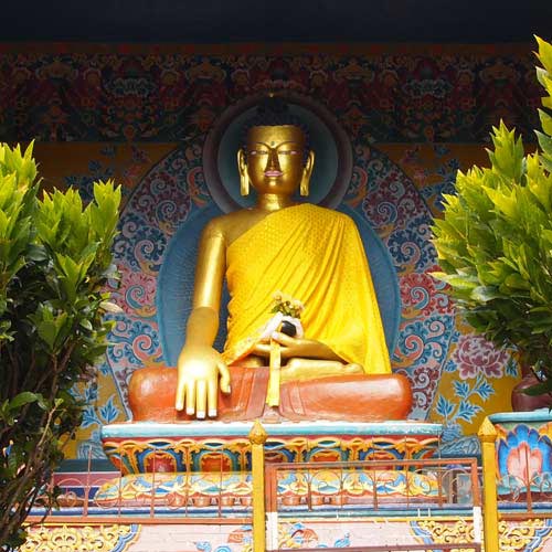 Buddha Parikrama Tour