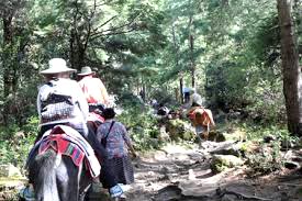 Best of Bhutan Tour