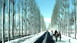 Kashmir Budget - Economical Package (7 D & 6 N)