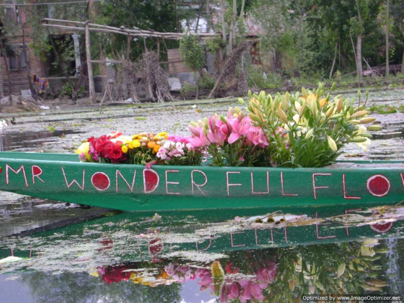 Kashmir - Mata Vaishnodevi & Amritsar Tour 8D/ 7N