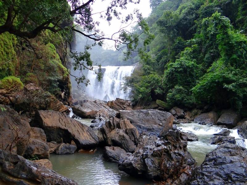 Karnataka Jungle Trail-spice Of Kerala