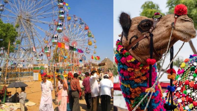 Rajasthan With Pushkar Fair
