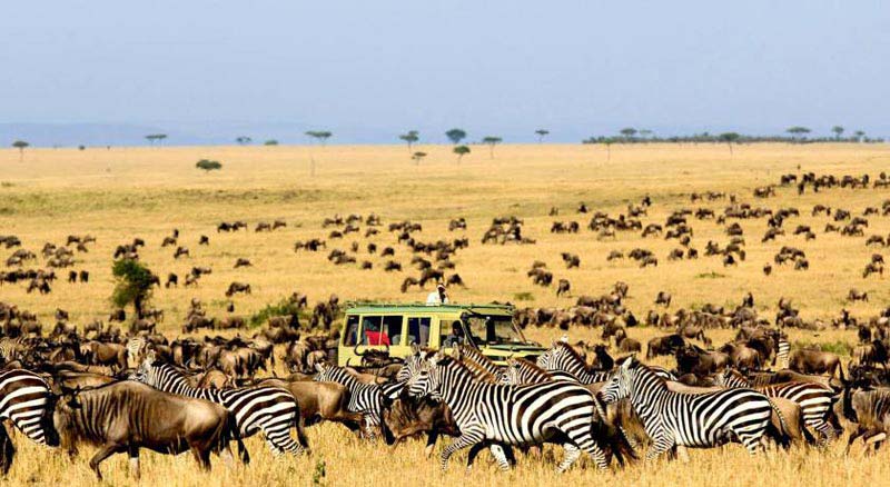 Kenya Tour Package