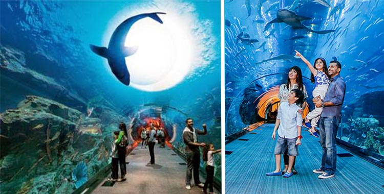 4 Nights 5 Days in Hotel & Resort with Baisan Travel Llc Tour