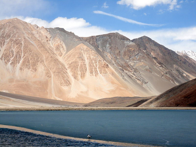 Holiday In Ladakh Tour By Car