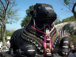 West South India - Karnataka Tour