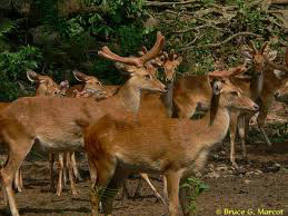 North East India - Manipur Tour