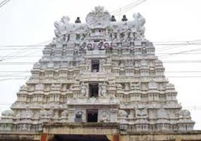 Bangalore - Mysore - Ooty - Kodaikanal - Madurai - Rameshwar (9 Days)