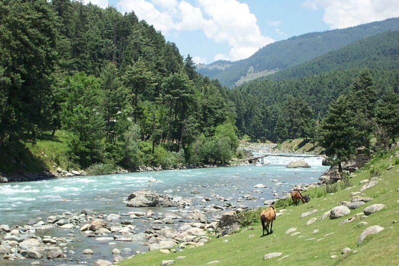 Kashmir - Gulmarg - Pahalgam (8 Days)