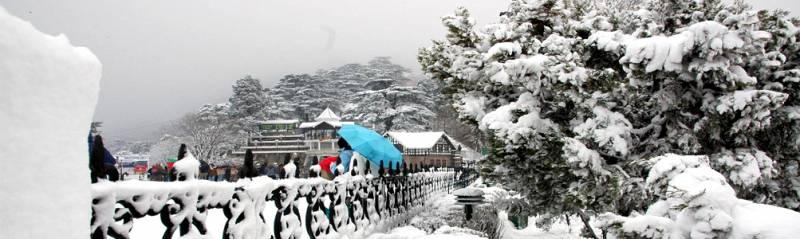 Shimla Package