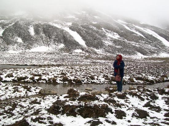 Himalayan Special Tour