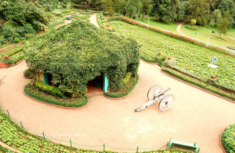 Bangalore, Mysore & Ooty Package