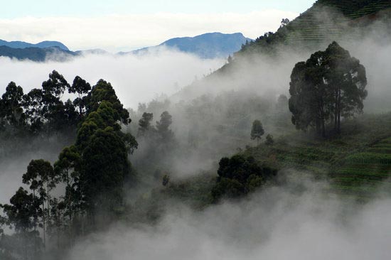 Ooty & Kodaikanal Package