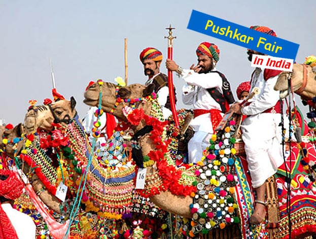 Pushkar Fair Adventure Camp Tour
