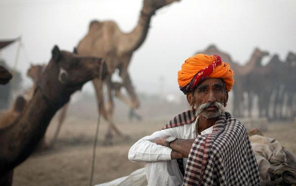 Pushkar Fair Adventure Camp Tour