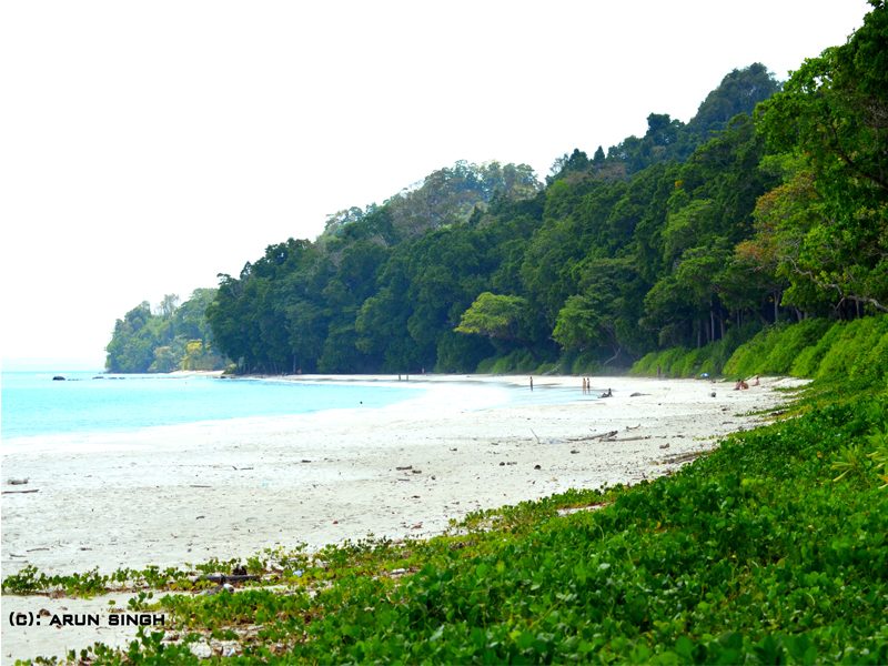 Glimpse Of Andaman Tour