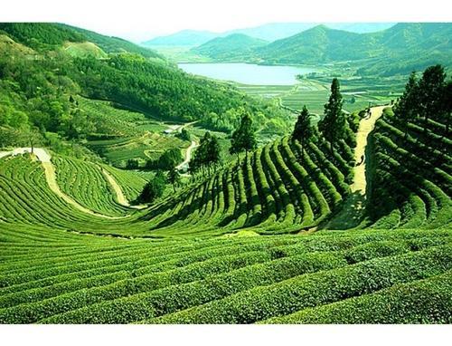 North Kerala Tour Package