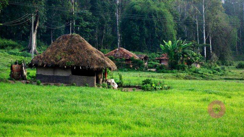 North Kerala Tour Package