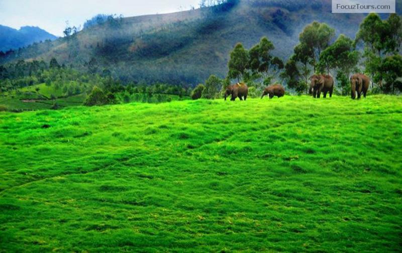 Feel the Nature and Feel Kerala Tour