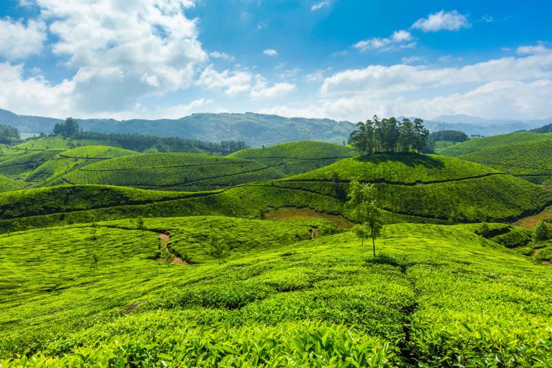 Incredible Kerala Tour