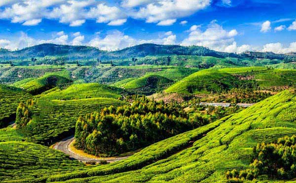 06 Nights 07 Days Kerala Beauty Tour Package