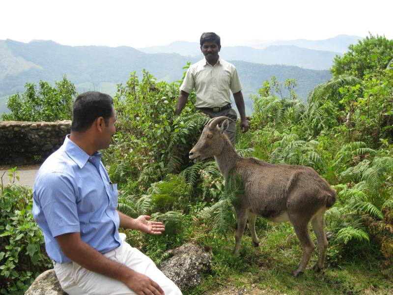 06 N / 07 Days Kerala Tour Package