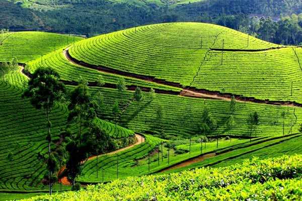 06 N / 07 Days Kerala Tour Package