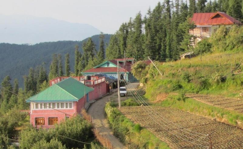Chail - Kufri - Fagu - Shimla Tour