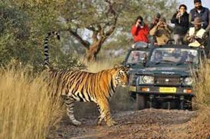 Rajasthan Wildlife Tour Package