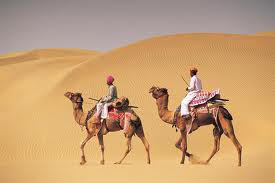Holiday Rajasthan Tour Package
