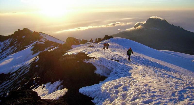 Kilimanjaro Lemosho  and the Northern Circuit Trek Tour