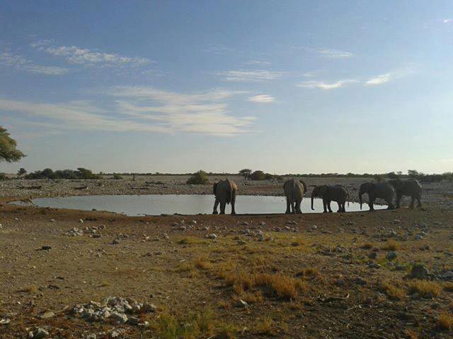 Camping Safari & Zanzibar Beach Holiday Package