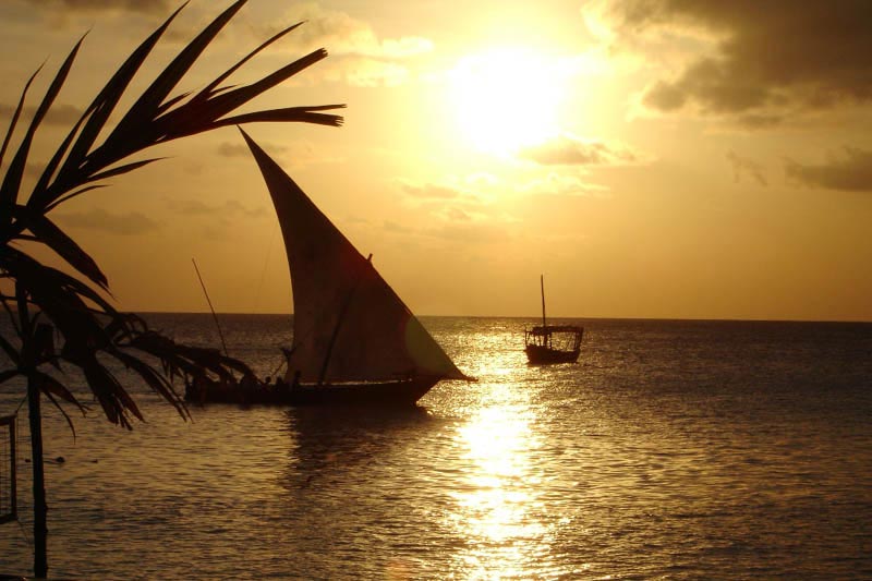 From Roof of Africa Head to Bush &The Beach Tour