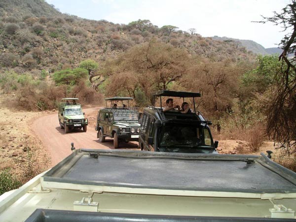 From Roof of Africa Head to Bush &The Beach Tour