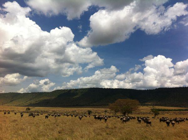 Kenya Bush to Beach Safari Adventure