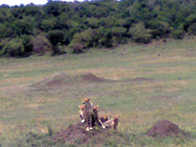 Mount Kilimanjaro Machame Route