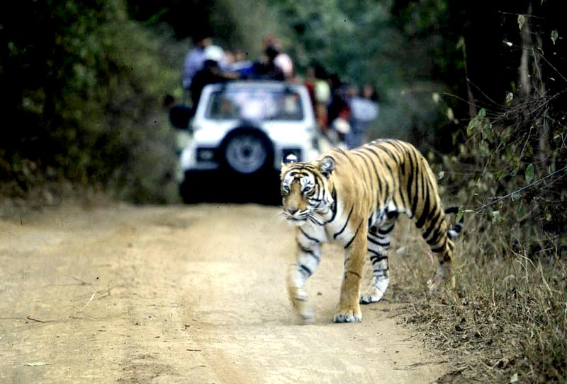 Golden Triangle And Ranthambore Tour