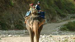 Elephant Safaris In India Package
