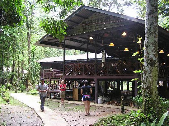 Jungles And Orangutans Malaysia Tour
