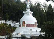 Queen of the Hills 3N/4D